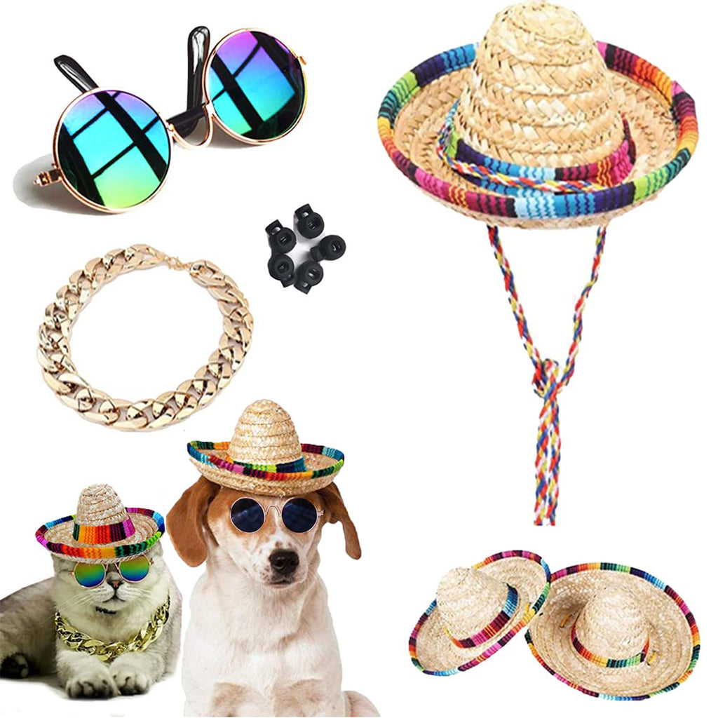 Retro Pet Fiesta Photo Suit - Mini Sombrero, Shades, and Gold Chain Set