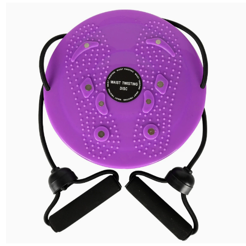 2-in-1 Core Twister & Resistance Band Fitness Station
