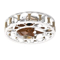 Professional Modern Caged Ceiling Fan with 6-Speed Remote & LED Light Suite