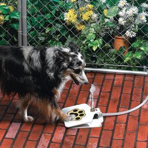 Outdoor Fresh-Flow Step-Activated Pet Water Fountain
