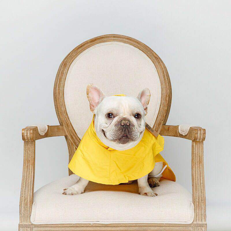 High-Visibility Waterproof Essential Pet Raincoat