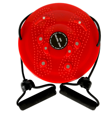 2-in-1 Core Twister & Resistance Band Fitness Station