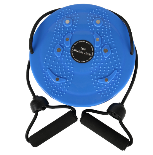 2-in-1 Core Twister & Resistance Band Fitness Station