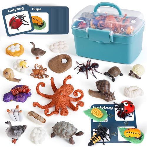 'Nature’s Journey' 24-Piece Animal Life Cycle Discovery Set