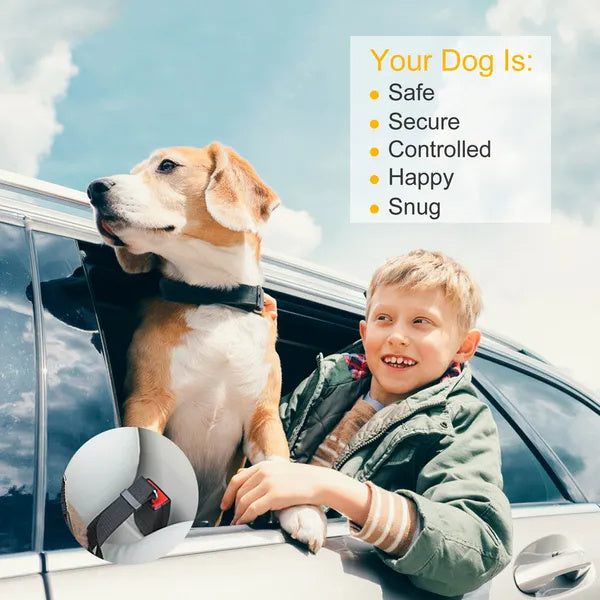 2-Piece Adjustable Universal Pet Vehicle Safety Leads