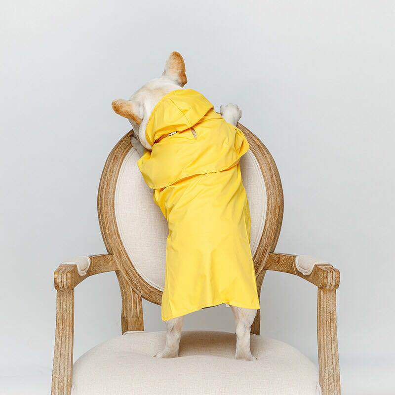 High-Visibility Waterproof Essential Pet Raincoat