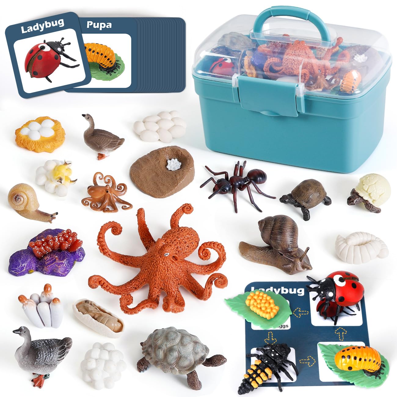 'Nature’s Journey' 24-Piece Animal Life Cycle Discovery Set
