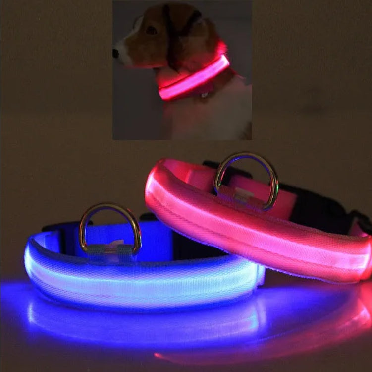LED Night-Vision Safety Halo Pet Collar