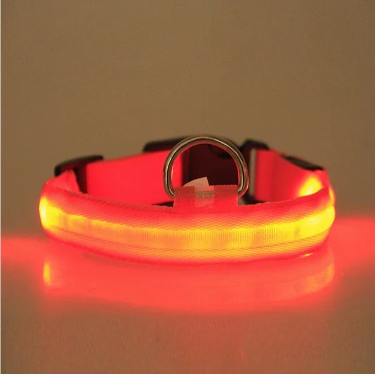 LED Night-Vision Safety Halo Pet Collar