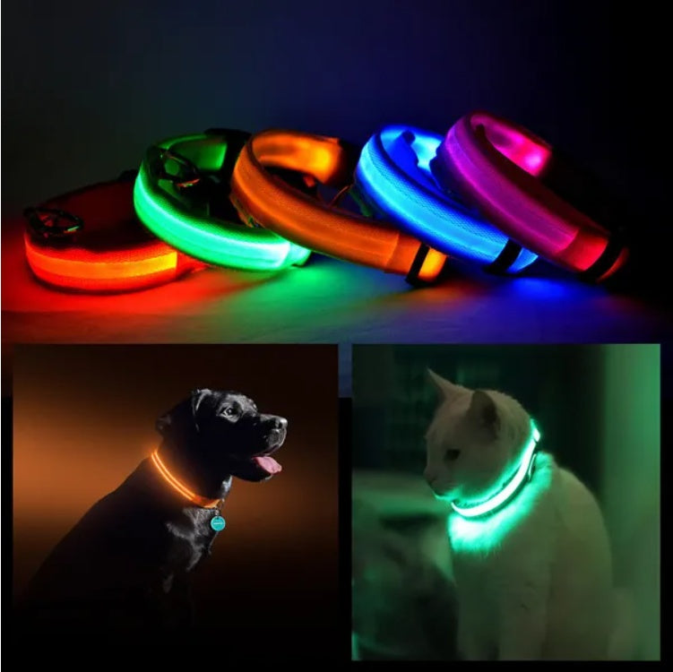 LED Night-Vision Safety Halo Pet Collar