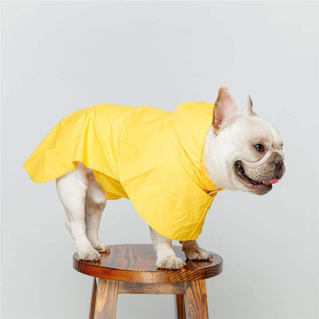 High-Visibility Waterproof Essential Pet Raincoat