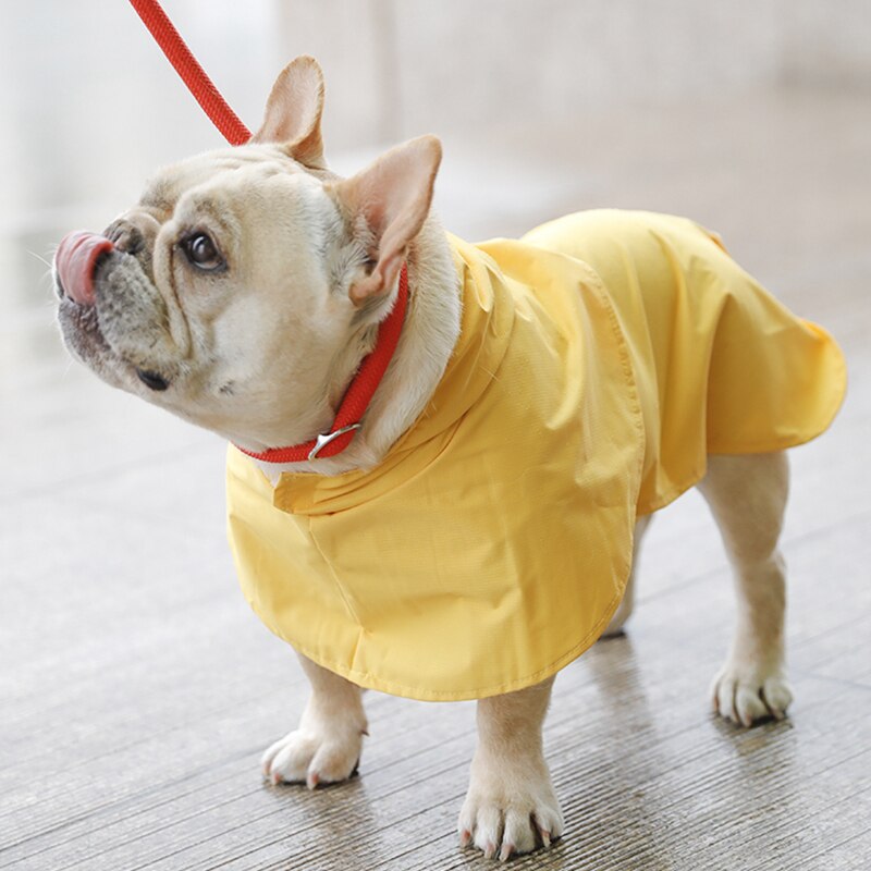 High-Visibility Waterproof Essential Pet Raincoat